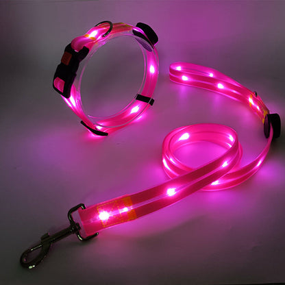 Lichtgevende LED Honden Halsband met Riem - NightBright