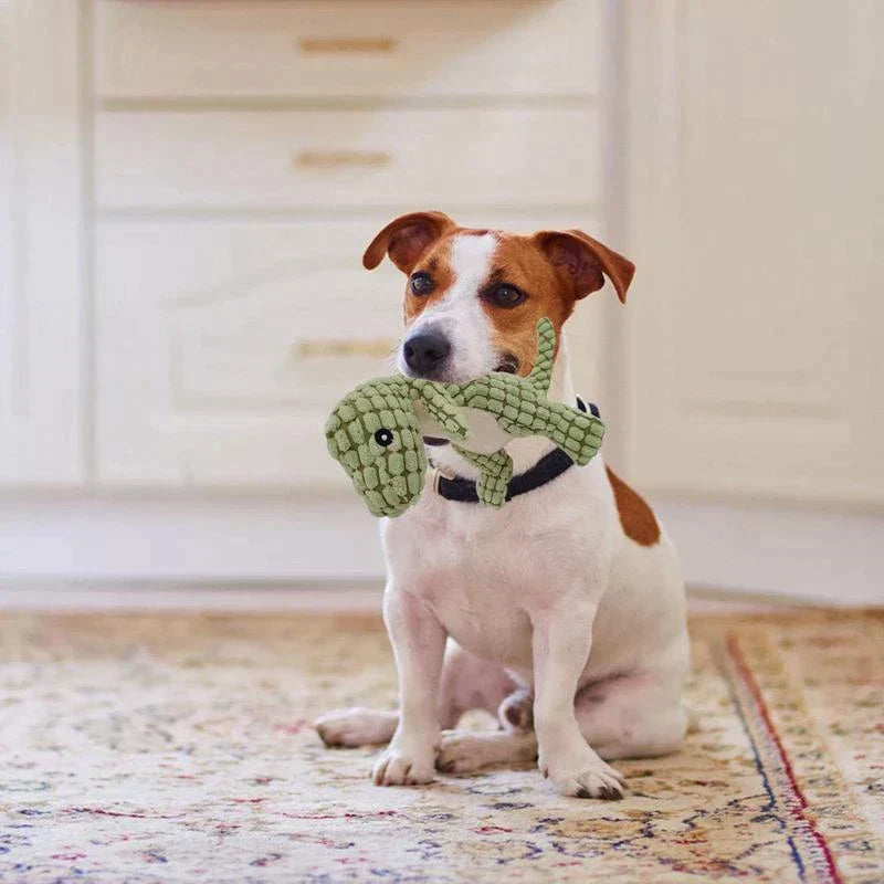 Zachte Knuffeldinosaurus voor Huisdieren (1+1 Gratis) - DinoPal