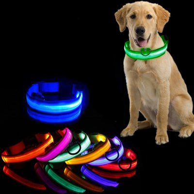 Hondenhalsband met LED Verlichting - GlowCollar