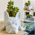 Honden Hars Vetplant Planter - Buddy