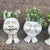 Grappige Gezicht Hars Vetplant Planter - GigglePot