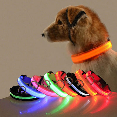 Hondenhalsband met LED Verlichting - GlowCollar
