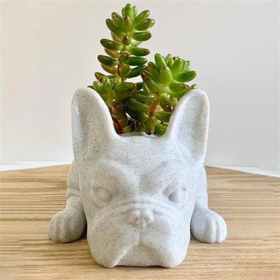 Honden Hars Vetplant Planter - Buddy