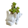 Honden Hars Vetplant Planter - Buddy