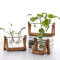 Hydroponische Bloempot met Houten Tafelblad Tray