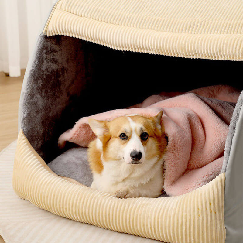 Comfortabele Hondententbed - CozyCave