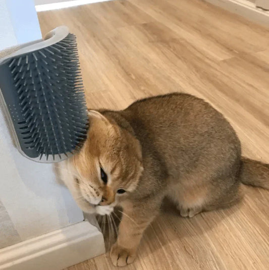 Katten Hoekborstel voor Zelfverzorging - PurrGroom