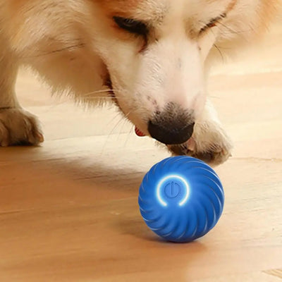 Automatisch Interactief Honden Speeltje - RolliPlay