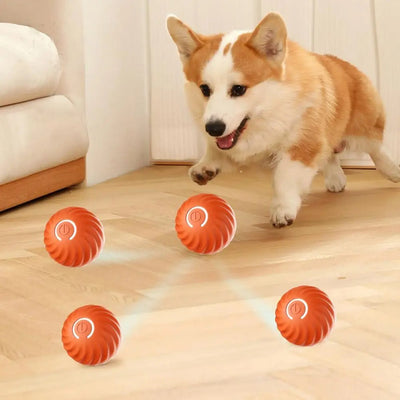 Automatisch Interactief Honden Speeltje - RolliPlay