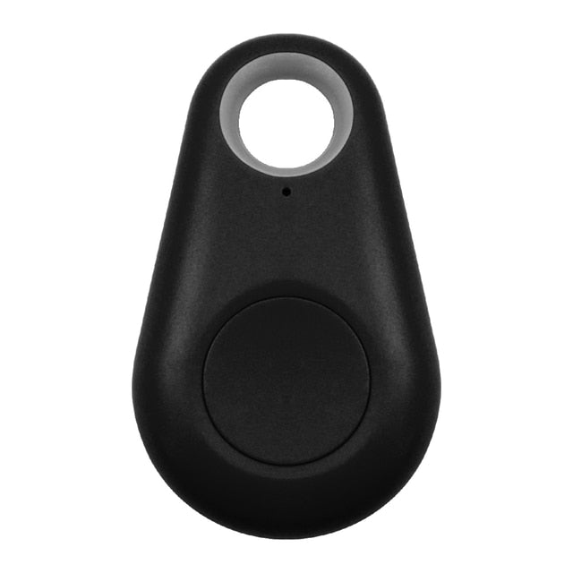 Huisdier GPS Tag - PawFinder