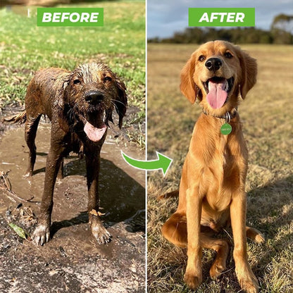 Honden Douche Sproeier - WashBuddy