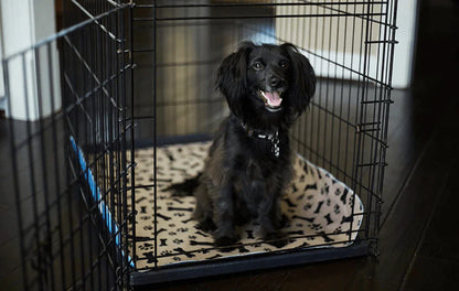 Herbruikbare Plasmat voor Honden - EcoPad