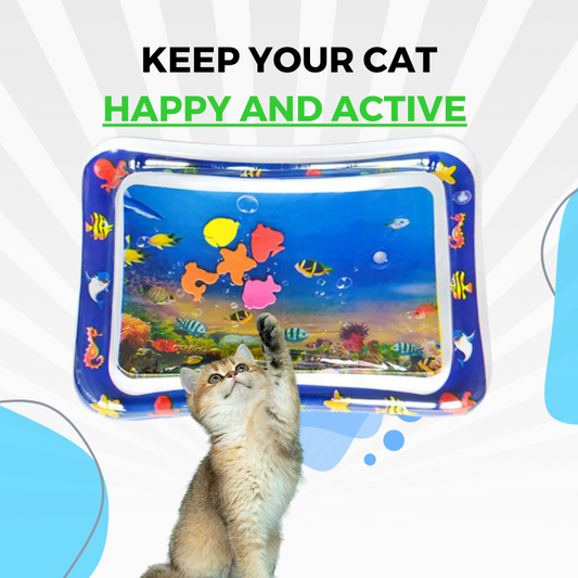 Interactieve Water Speelmat voor Katten - AquaPaws