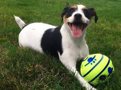 Interactieve Speelbal voor Honden - GiggleSphere