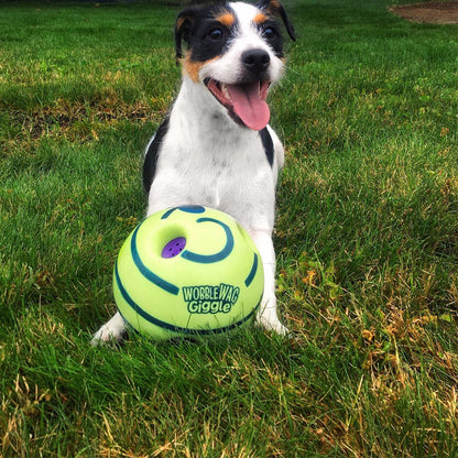Interactieve Speelbal voor Honden - GiggleSphere