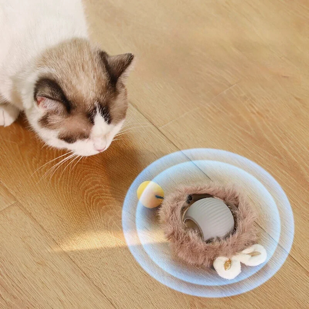 Interactieve Jagerbal voor Katten - PouncePal
