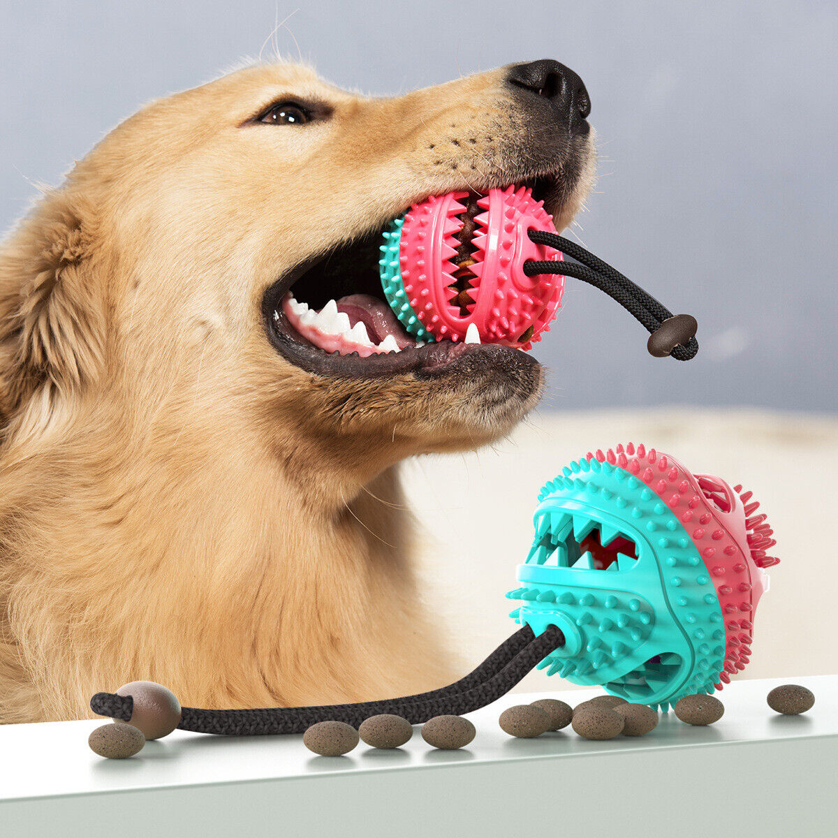 Stevig Hondentrektouw - PlayPaw