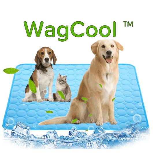 Verkoelende Hondenmat - CoolPet Mat