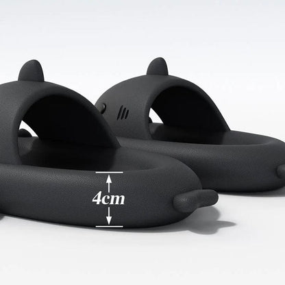 SharkSlides™ | 50% korting