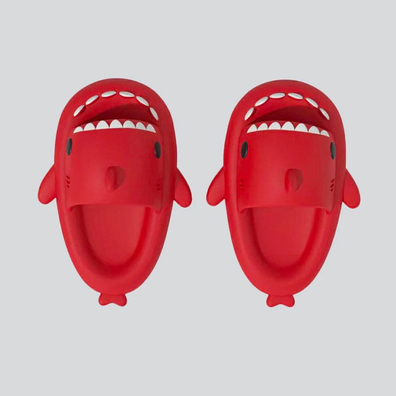 SharkSlides™ | 50% korting