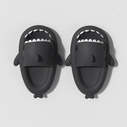 SharkSlides™ | 50% korting
