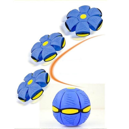 Frisbee Bal
