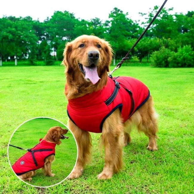 BuddyPro™ - Waterdichte hondenjas