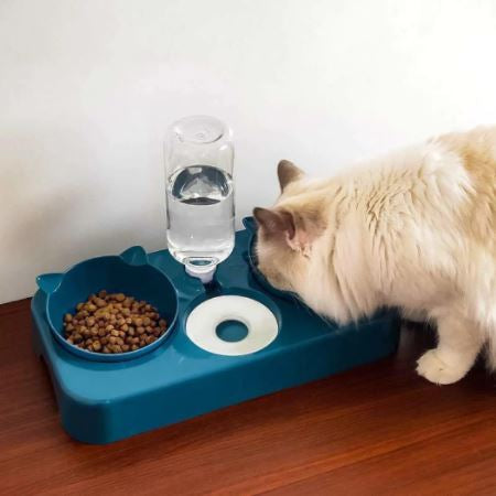 3 in 1 Pet Bowl™️