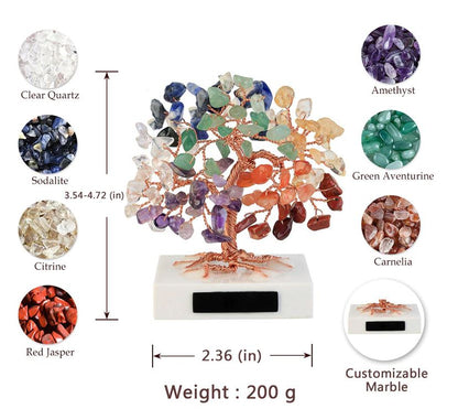 Money Tree™️