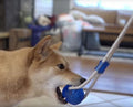 Balz Dog Toy | Uren lang speelplezier voor honden