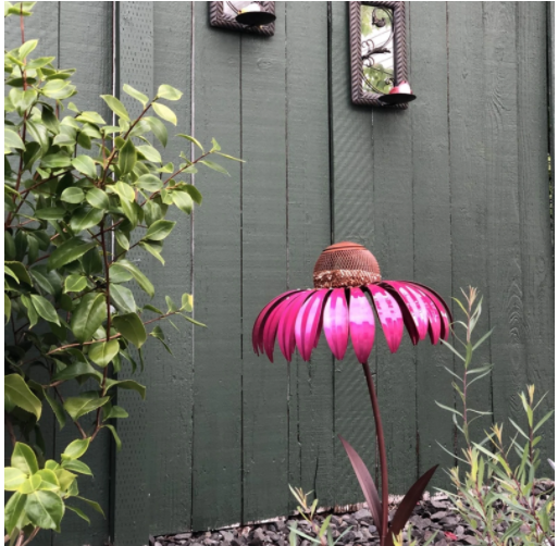 Bird Feeder™️
