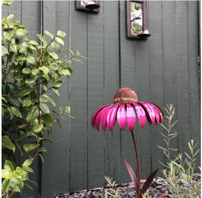 Bird Feeder™️