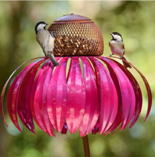 Bird Feeder™️