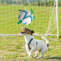 Dog Soccer Ball™️