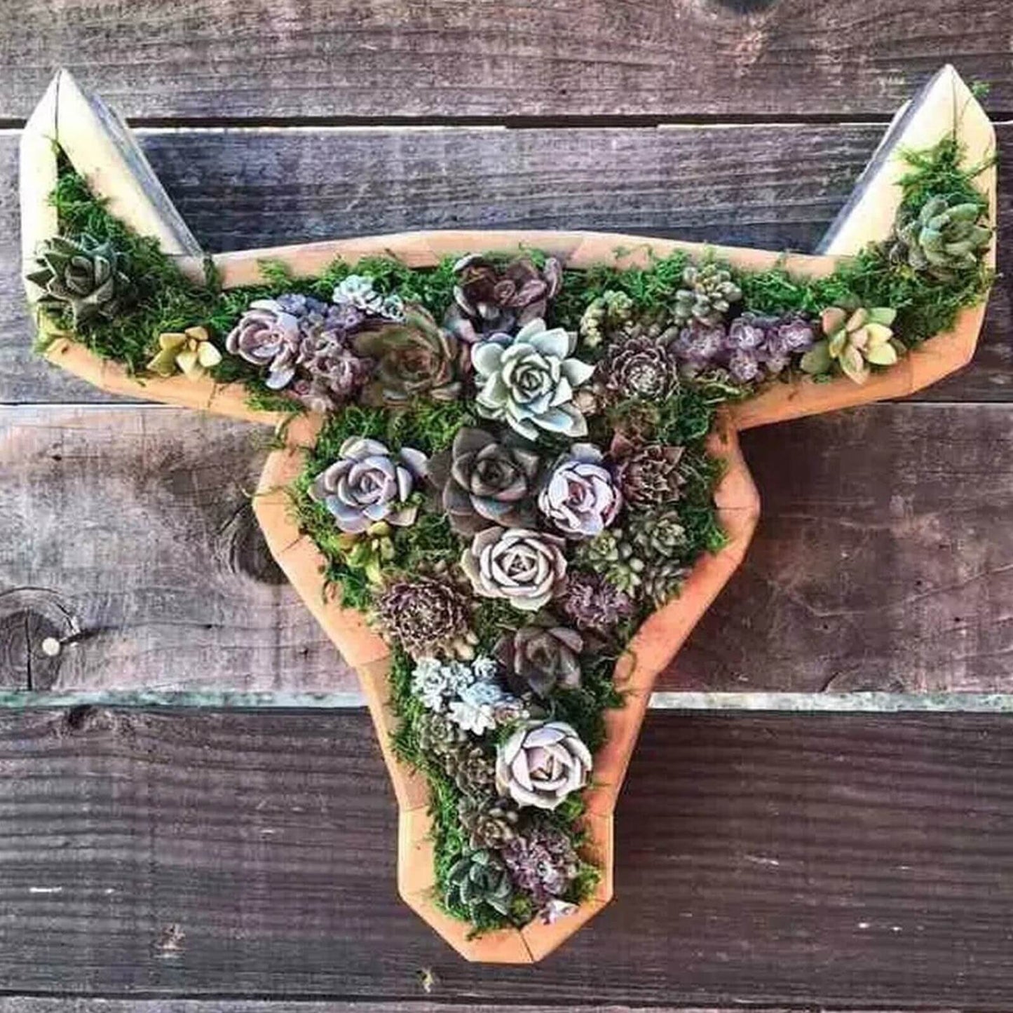 Animal Plants™ | Houten Plantbox