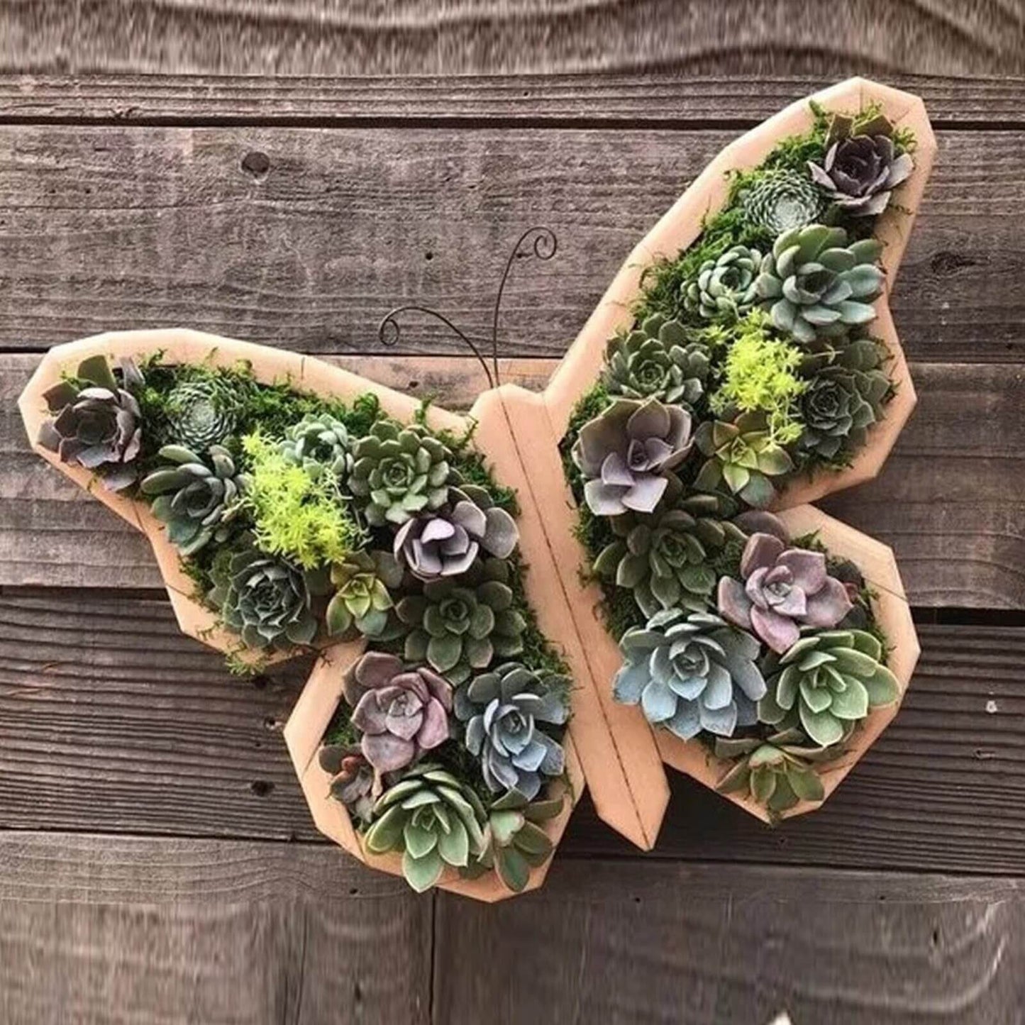 Animal Plants™ | Houten Plantbox