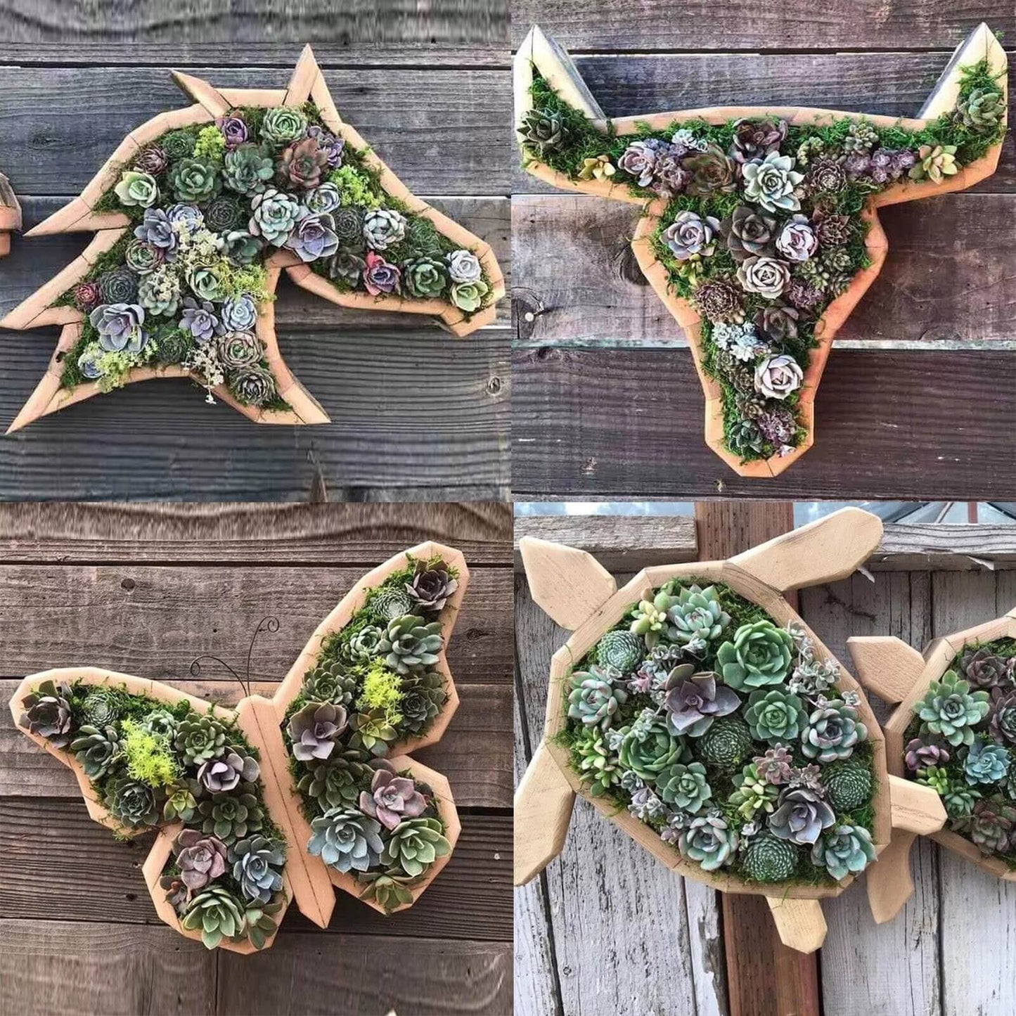 Animal Plants™ | Houten Plantbox
