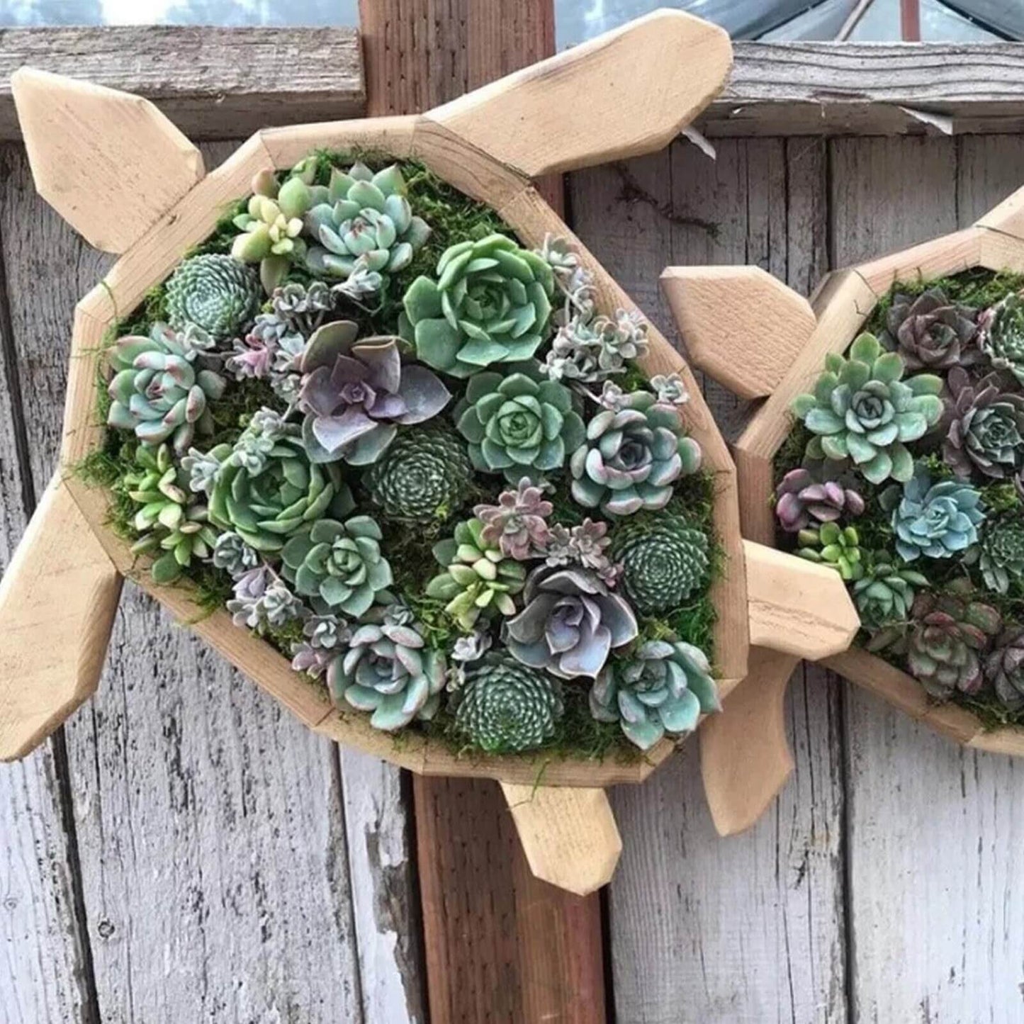 Animal Plants™ | Houten Plantbox