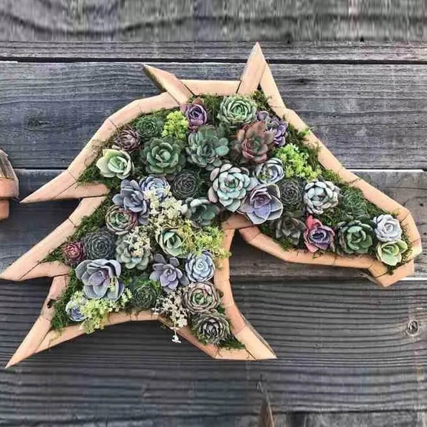 Animal Plants™ | Houten Plantbox