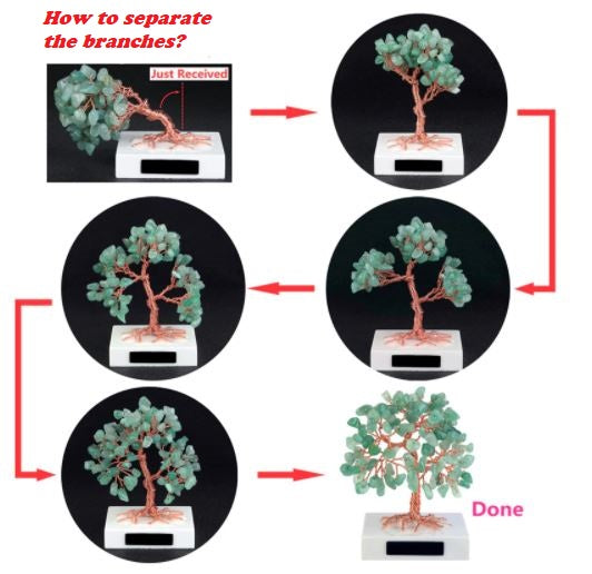 Money Tree™️