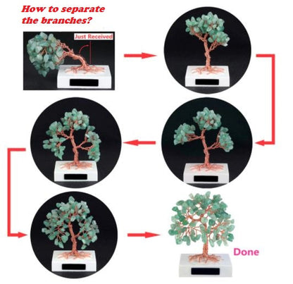 Money Tree™️