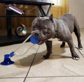 Balz Dog Toy | Uren lang speelplezier voor honden
