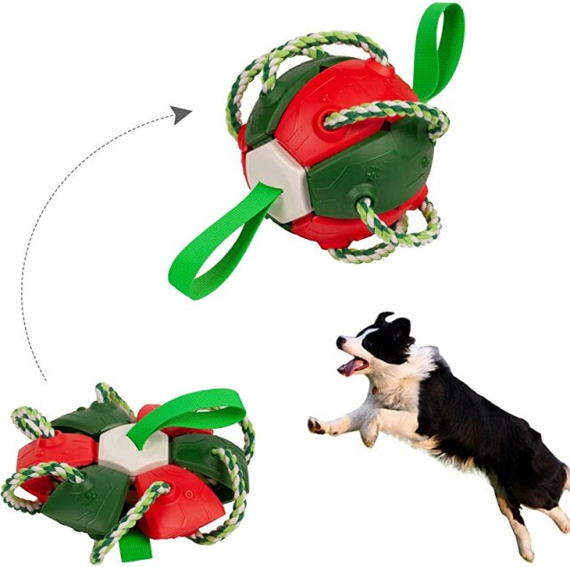 Dog Chewing Ball™