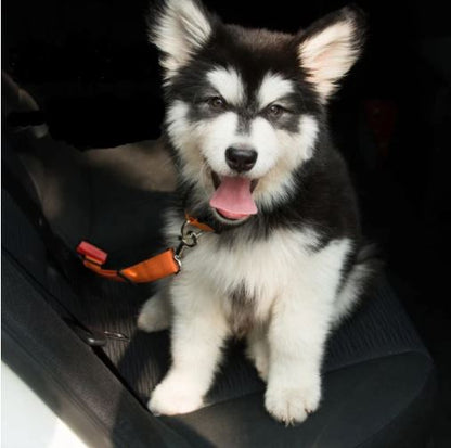 Dog Seatbelt™ (1+1 GRATIS)