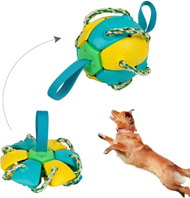 Dog Chewing Ball™