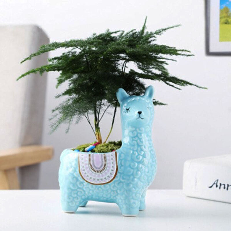 Alpaca Flower Pot™