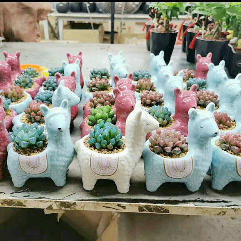 Alpaca Flower Pot™