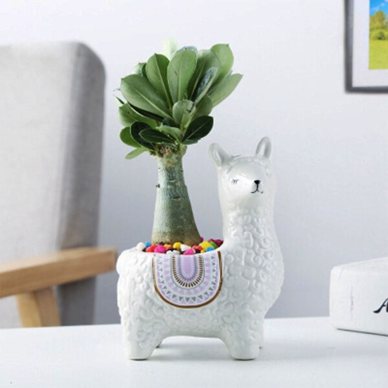 Alpaca Flower Pot™