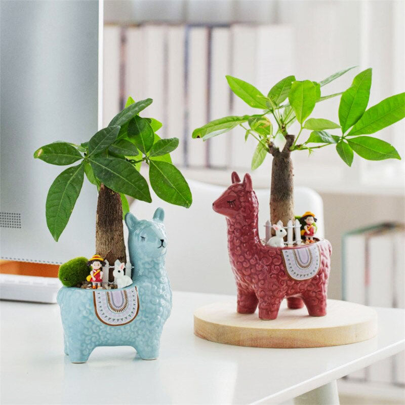 Alpaca Flower Pot™