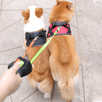DoubleDog™ - Wikkel vrije dubbele hondenriem met zaklamp